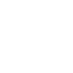 Bornheim Icon