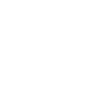 Wesseling Icon