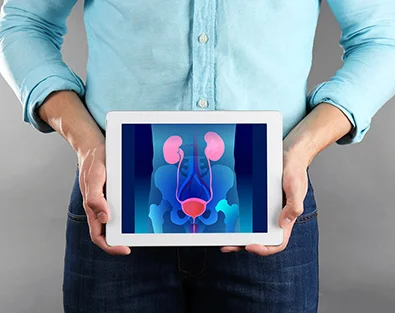 Das Symbolbild zeigt einen Mann, der sich ein Tablet vor seinen Unterbauch hält. Auf dem Tablet ist ein Röntgenbild zu sehen, auf der die Nieren, die Blase und die Prostata farblich hervorgehoben sind. Es ist ein Symbolbild für den Schwerpunkt Prostata bzw. benignes Prostatasyndrom des CUROS urologischen Zentrums Köln Bonn