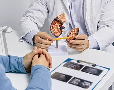Das Symbolbild zeigt einen Arzt, der das medizinische Modell einer Niere einem Patienten erklärt. Es ist ein Symbolbild für den Schwerpunkt Uro-Onkologie des CUROS urologischen Zentrums Köln Bonn